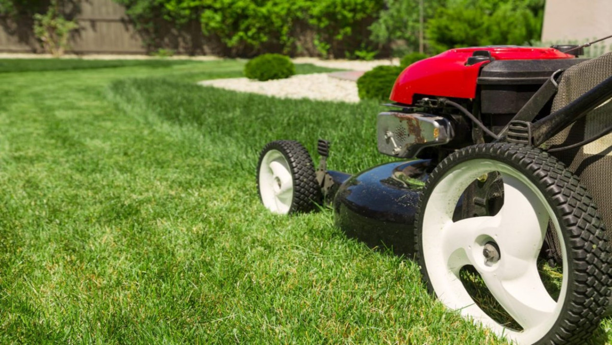 landscaping lawn mower team